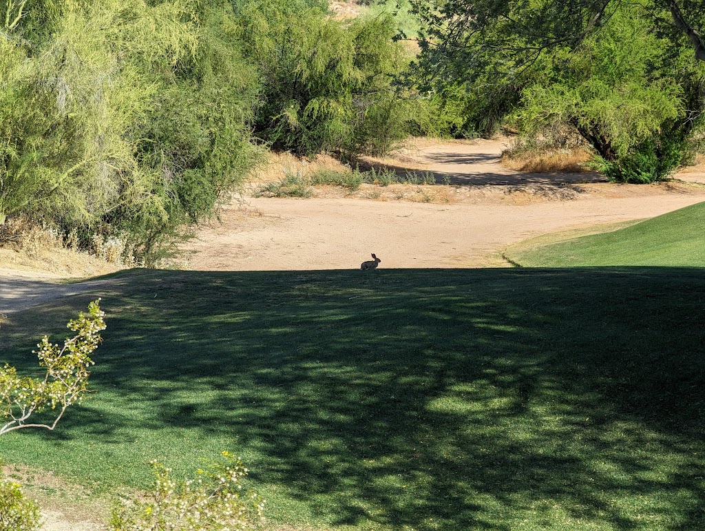 Longbow Golf Club | 5601 E Longbow Pkwy, Mesa, AZ 85215, USA | Phone: (480) 807-5400