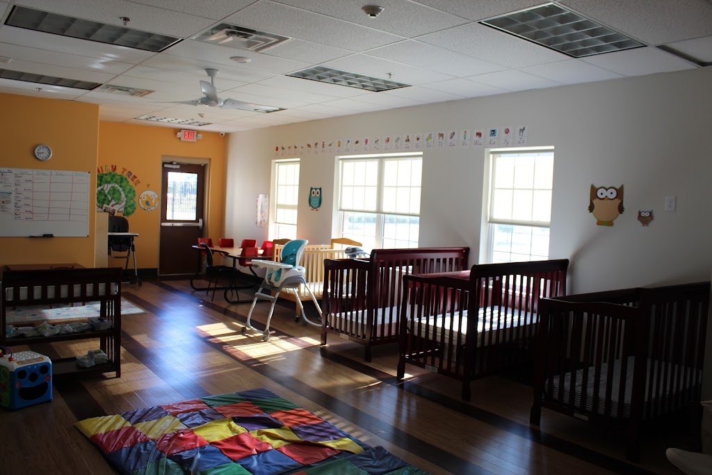 Amazing Childrens Montessori | 11445 Independence Pkwy, Frisco, TX 75035, USA | Phone: (469) 844-3500