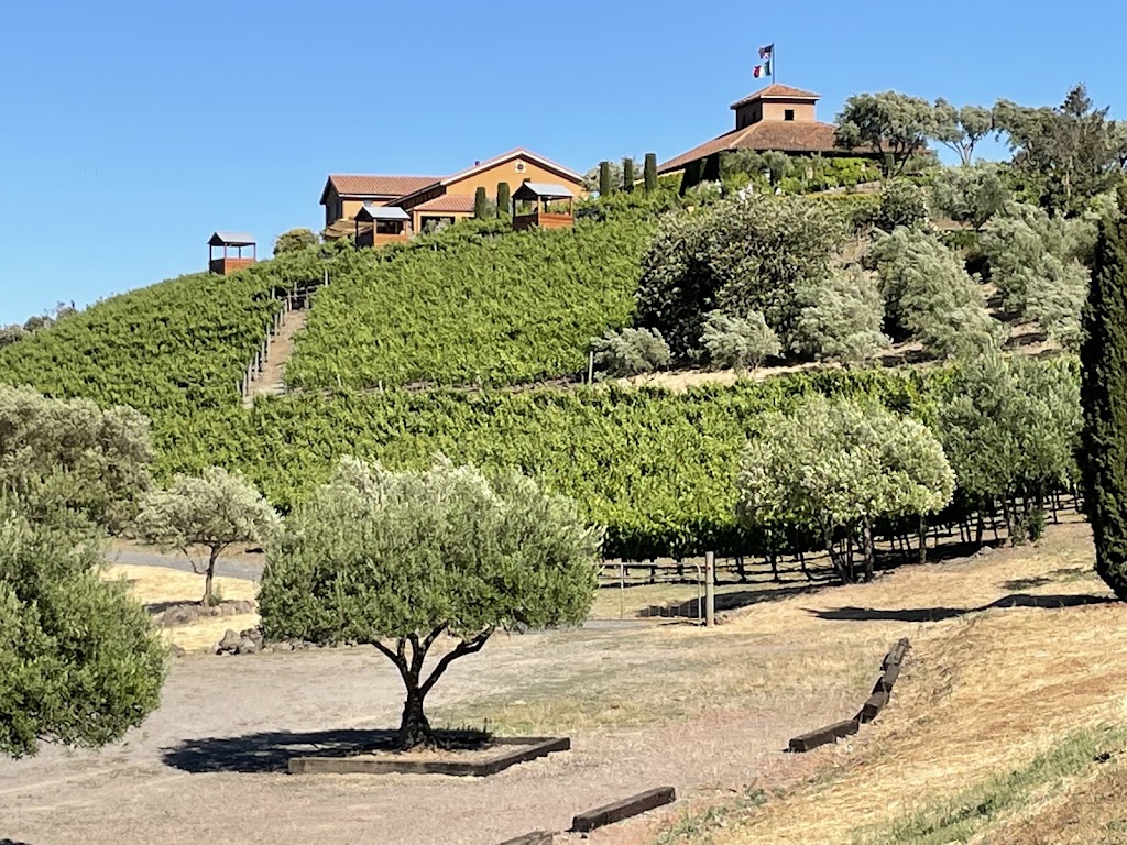 Viansa Winery | 25200 Arnold Dr, Sonoma, CA 95476, USA | Phone: (800) 995-4740
