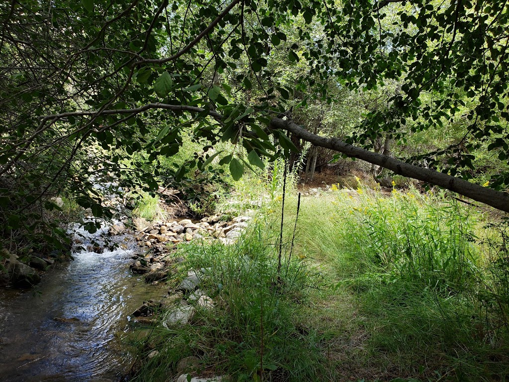 Santa Ana River Trail 2E03 | 43730-44598 CA-38, Angelus Oaks, CA 92305, USA | Phone: (909) 382-2882