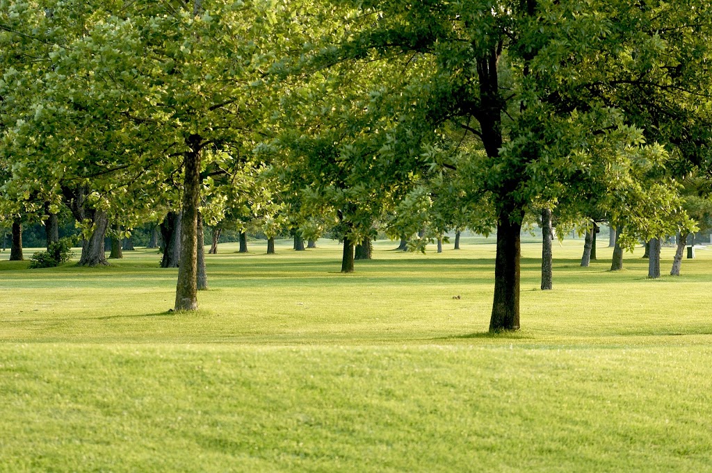 Arlington Greens Golf Course | 200 Arlington Dr, Granite City, IL 62040, USA | Phone: (618) 931-5232