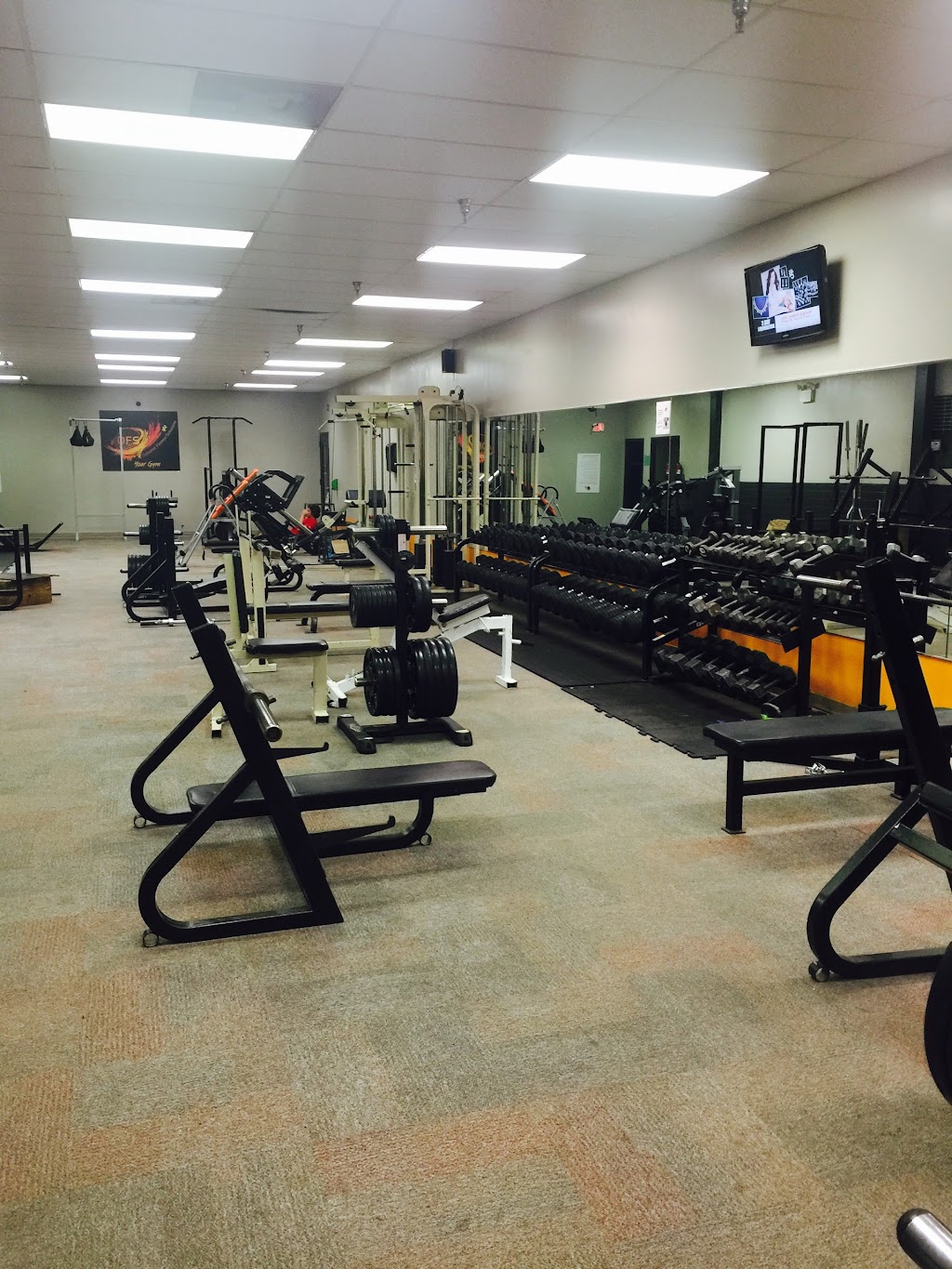 Dynamic Fitness Solutions Gym | 9321 Ravenna Rd Suite G, Twinsburg, OH 44087, USA | Phone: (440) 543-0488