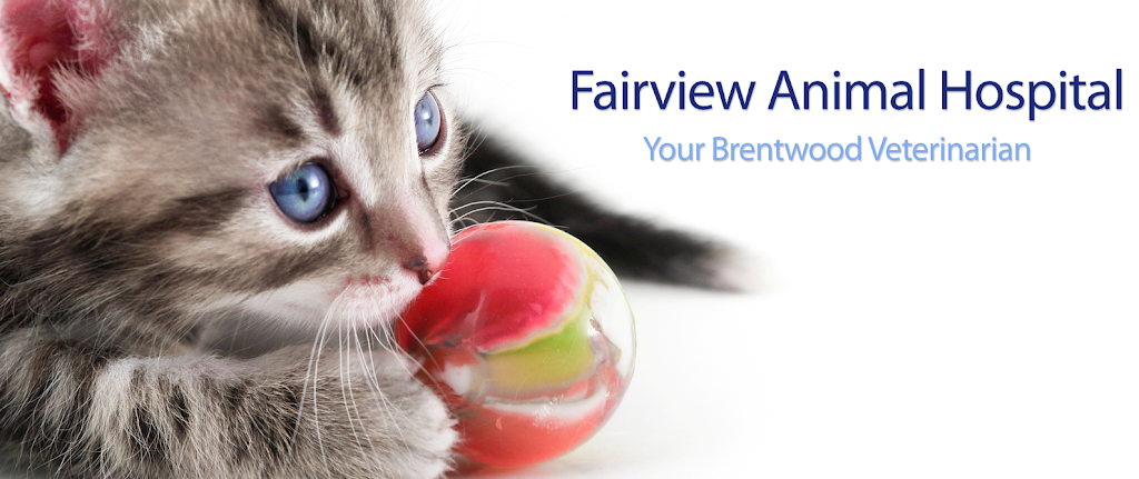 Fairview Animal Hospital | 3111- C, Balfour Rd, Brentwood, CA 94513, USA | Phone: (925) 626-7284