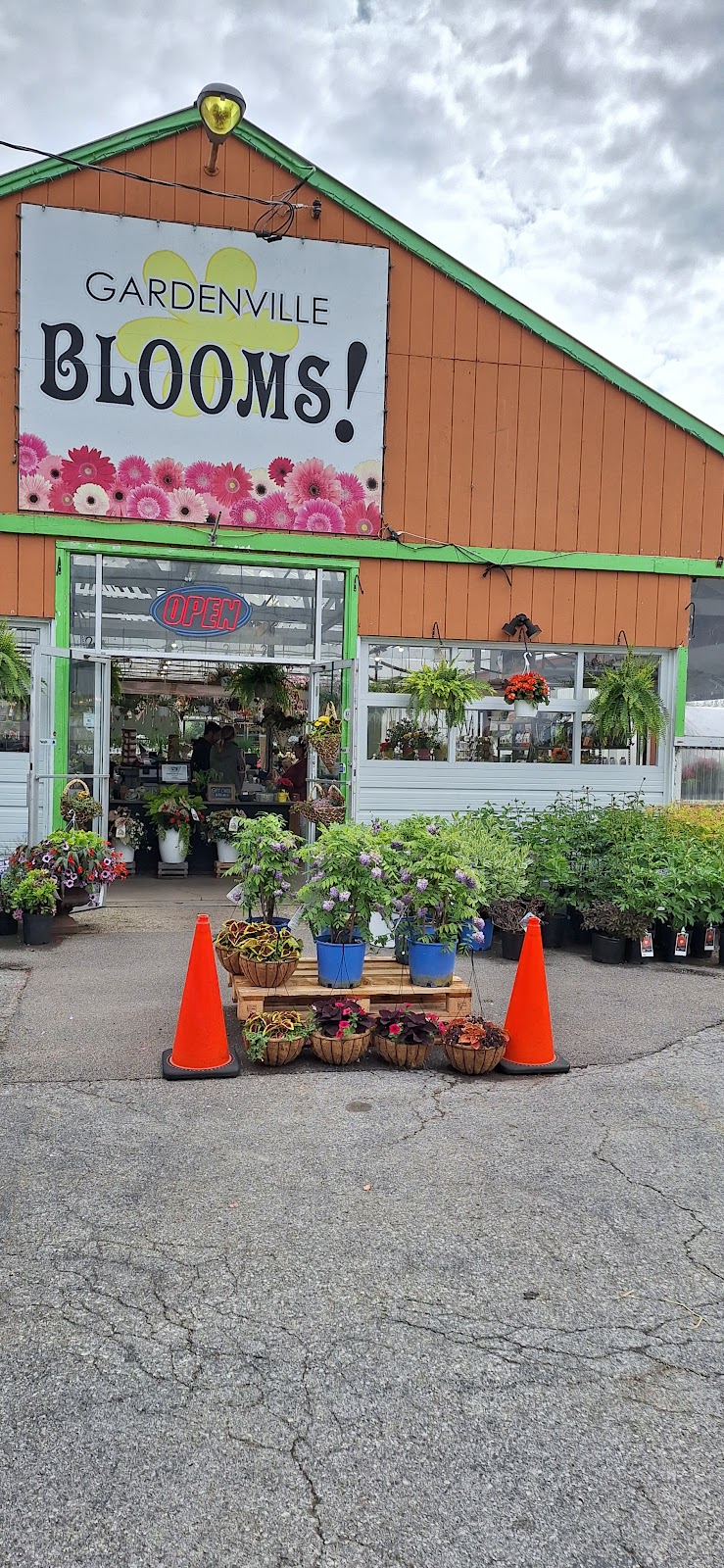 Gardenville Blooms | 2723 Clinton St, West Seneca, NY 14224, USA | Phone: (716) 826-3025