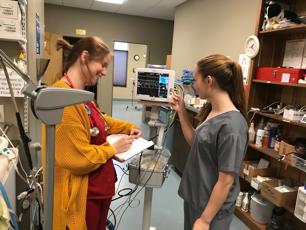Priest Lake Veterinary Hospital - Nashville Veterinarian | 2445 Morris Gentry Bv, Antioch, TN 37013, USA | Phone: (615) 361-4646