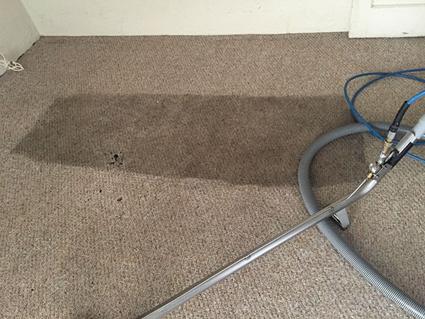 Carpet Savers | 7702 N John Hancock Ave, Tucson, AZ 85741, USA | Phone: (520) 297-9240