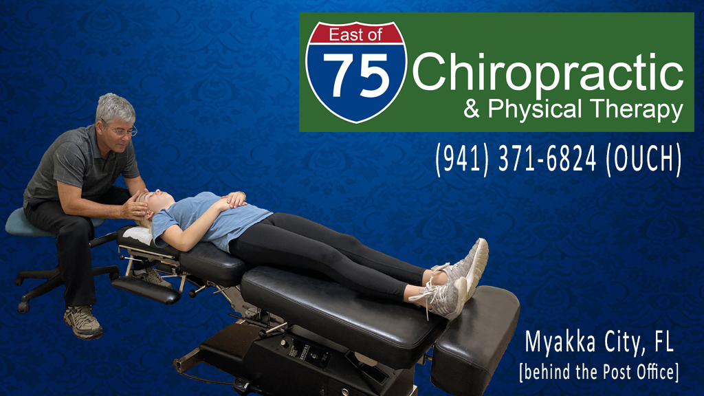 East of 75 Chiropractic | 36822 Manatee Ave, Myakka City, FL 34251, USA | Phone: (941) 371-6824