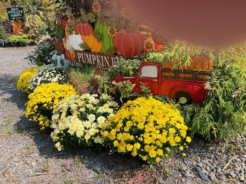 Best Feeds Garden Centers | 1410 Wildwood Rd, Gibsonia, PA 15044, USA | Phone: (412) 487-5802