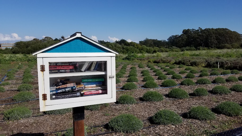 Natural Bridges Farm by Homeless Garden Project | Shaffer Rd, Santa Cruz, CA 95060, USA | Phone: (831) 426-3609