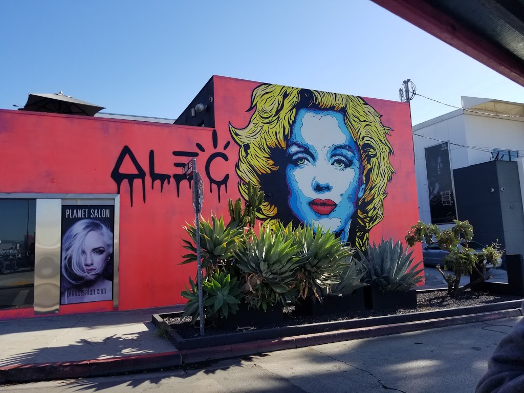 Surf City Tours | 1654 Ocean Ave, Santa Monica, CA 90401, USA | Phone: (800) 913-9356