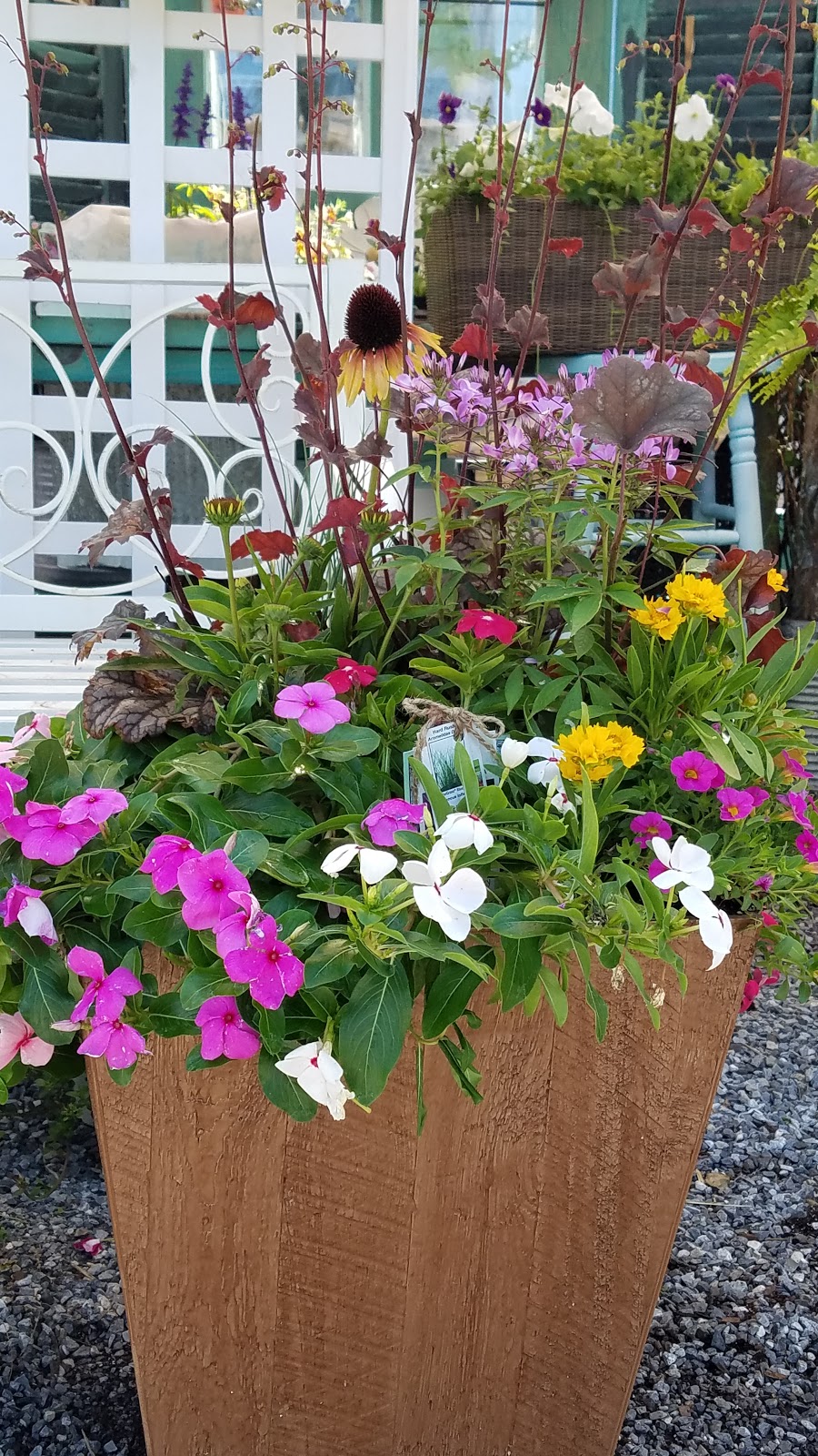 Posh Plantings | At Ace Hardware, 720 Strasburg Rd of, West Chester, PA 19380, USA | Phone: (484) 318-5992