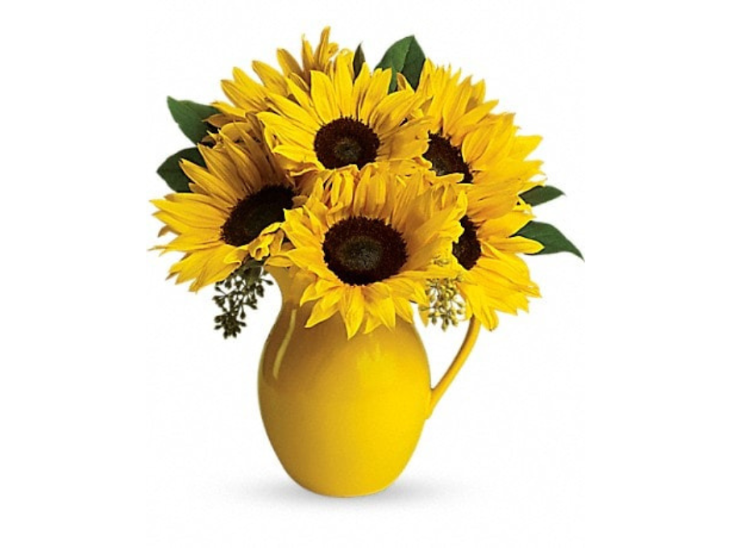 Edelweiss Flower Boutique & Flower Delivery | 1722 Ocean Park Blvd, Santa Monica, CA 90405, USA | Phone: (310) 452-1377