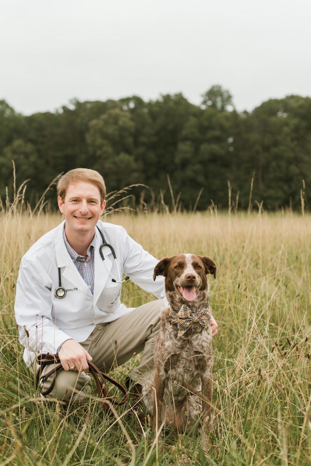 Good Dog Veterinary Care | 3894 Due W Rd NW Suite 250, Marietta, GA 30064, USA | Phone: (770) 450-4555