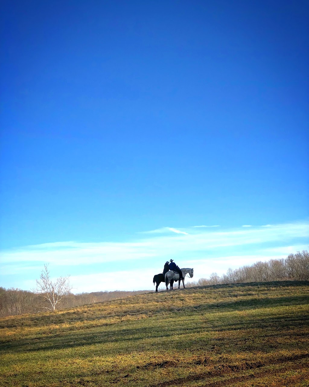 Sugarcreek MetroPark Horse Trailer Parking | 7700 Wilmington Pike, Sugarcreek Township, OH 45305, USA | Phone: (937) 275-7275