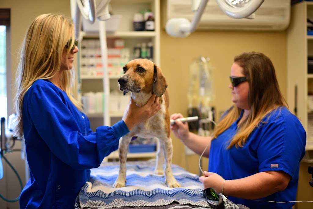 Arlington Pet Hospital, PLLC | 11065 US-70, Arlington, TN 38002, USA | Phone: (901) 317-4412