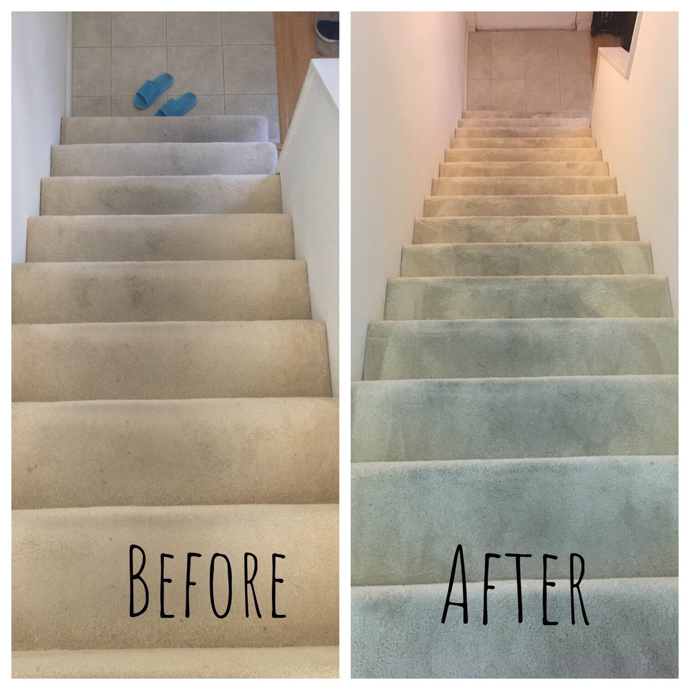 All Pro Carpet Cleaning | 15166 Los Gatos Blvd, Los Gatos, CA 95032, USA | Phone: (408) 560-4892