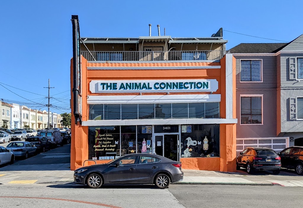 The Animal Connection | 3401 Irving St, San Francisco, CA 94122, USA | Phone: (415) 564-6482