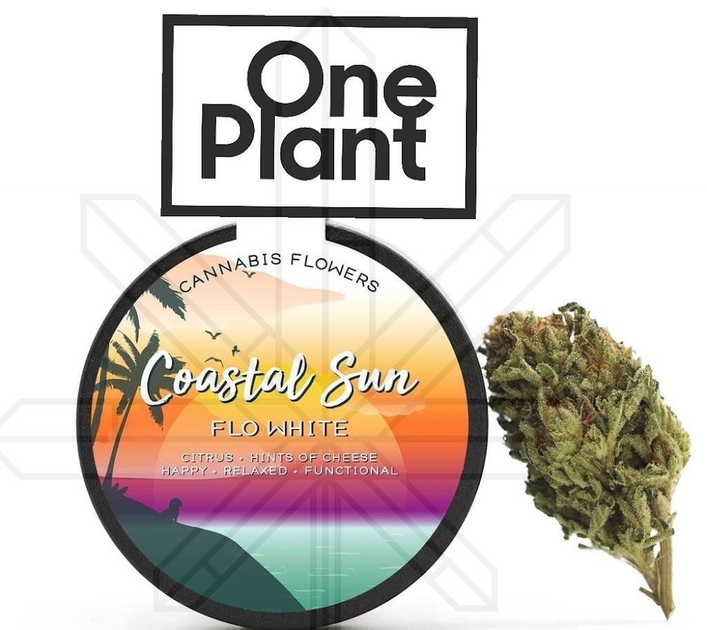 One Plant Delivery - Bay Area | 2701 W 10th St, Antioch, CA 94509 | Phone: (925) 339-9948