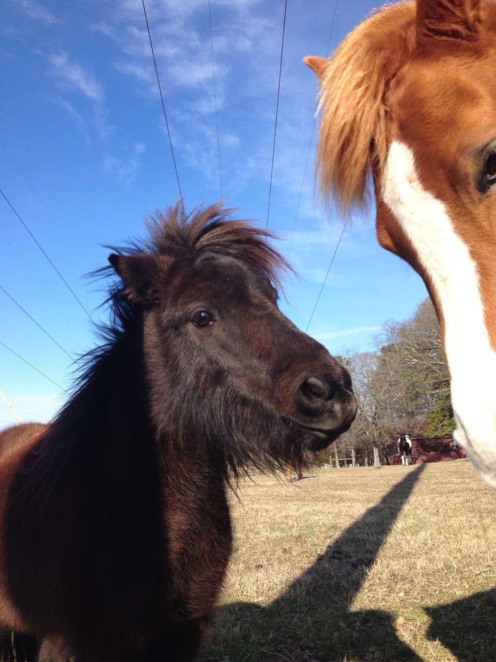 C 2 it Equine Therapy Ranch | 3231 Lenora Church Rd, Snellville, GA 30039 | Phone: (404) 731-2143