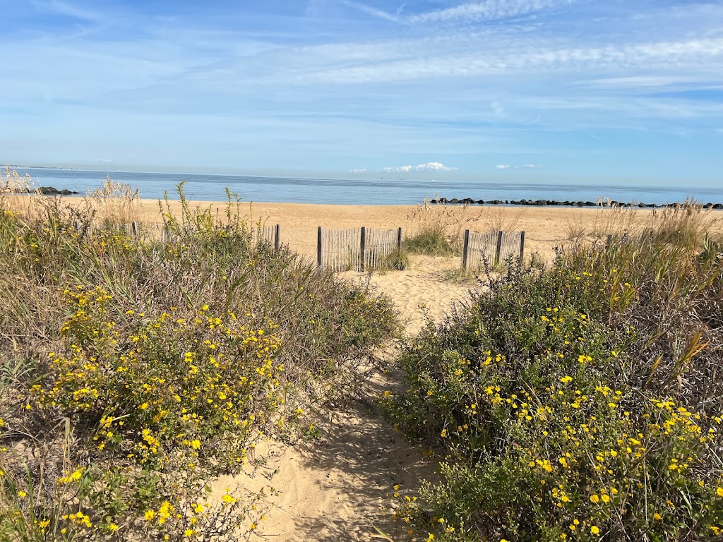 Dune Cottages | 810 W Ocean View Ave #1, Norfolk, VA 23503, USA | Phone: (757) 785-9294