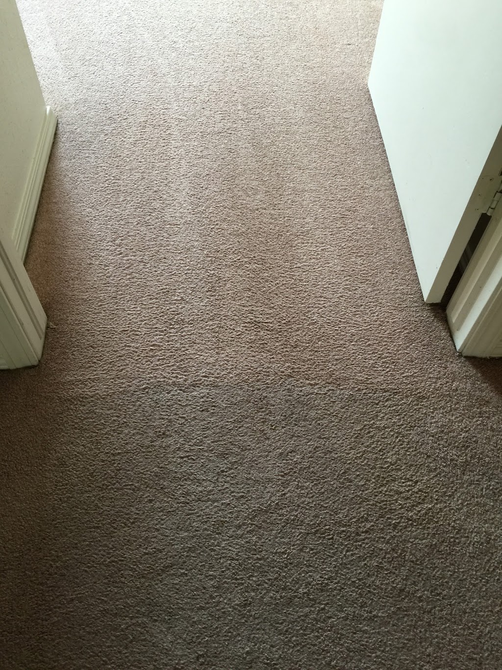 Precision Carpet Cleaning | Etowah Rd, Noble, OK 73068, USA | Phone: (405) 765-2560