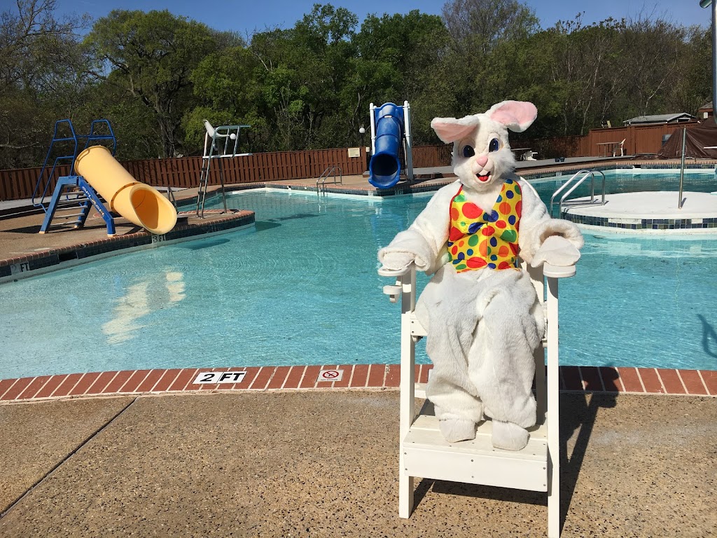 The Texas Pool | 901 Springbrook Dr, Plano, TX 75075, USA | Phone: (972) 881-8392