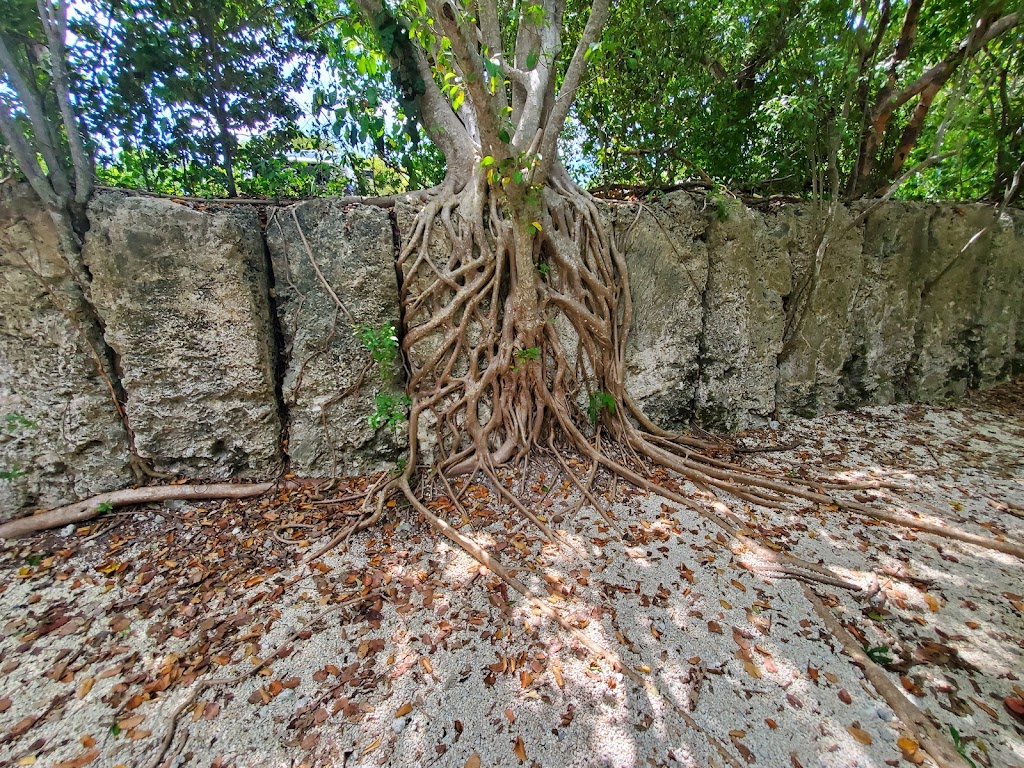 Windley Key Fossil Reef Geological State Park | 84900 Overseas Hwy, Islamorada, FL 33036, USA | Phone: (305) 664-2540