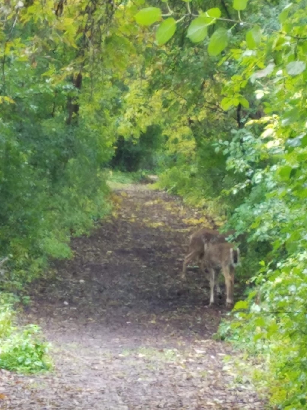 Kylawn Park | 6015 Kyle Ave N, Brooklyn Center, MN 55429, USA | Phone: (763) 569-3400