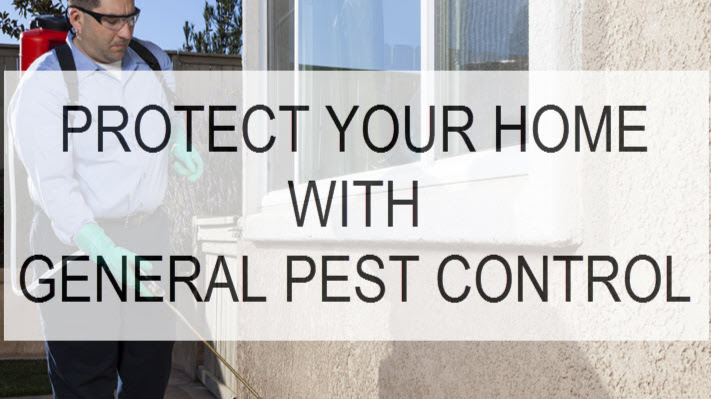 Red Rock Pest AZ | 12740 W Indian School Rd, Litchfield Park, AZ 85340, USA | Phone: (480) 582-4371