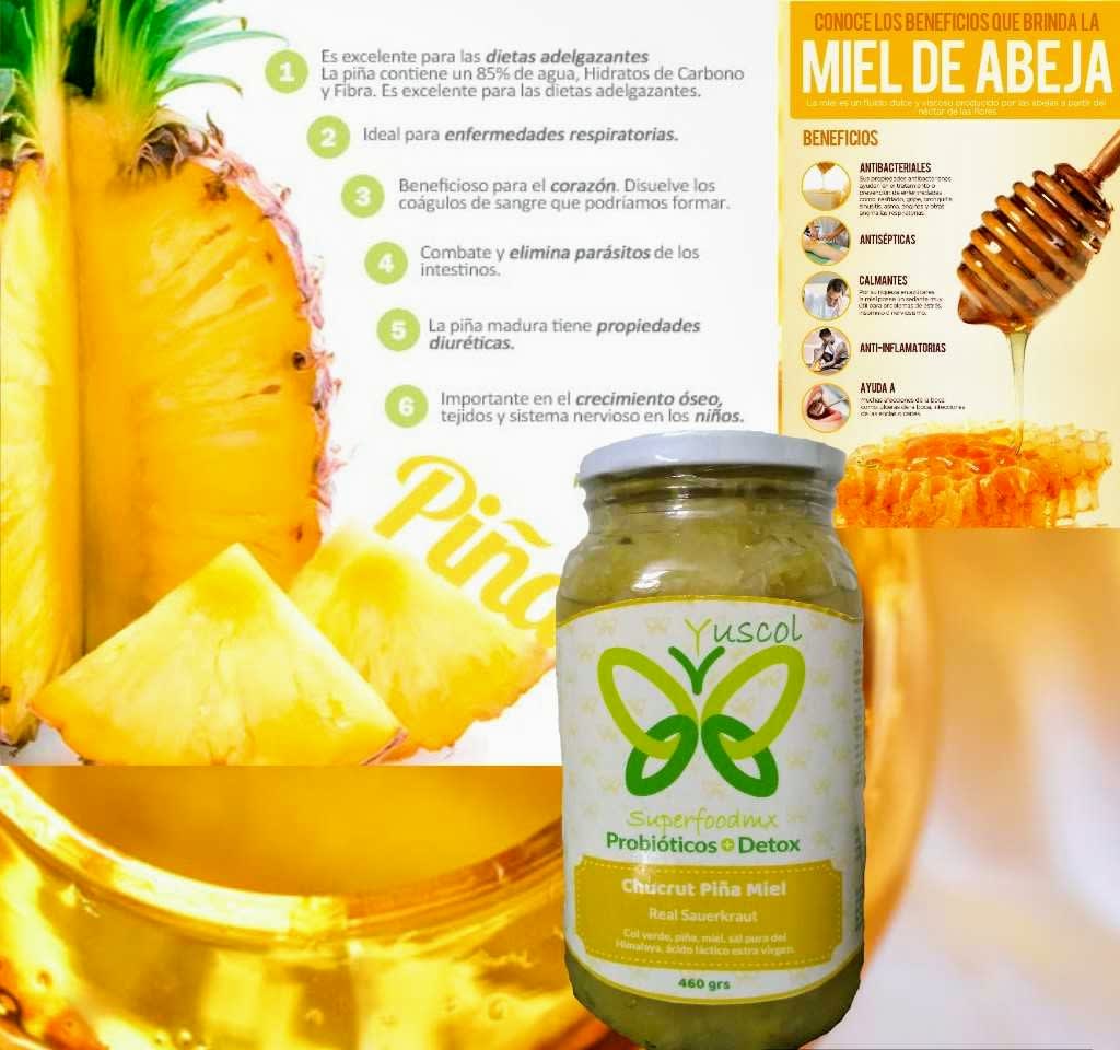 Yuscol Mx | Aguascalientes #72, Ejido Ruiz Cortines, 22810 Ensenada, B.C., Mexico | Phone: 664 123 3077