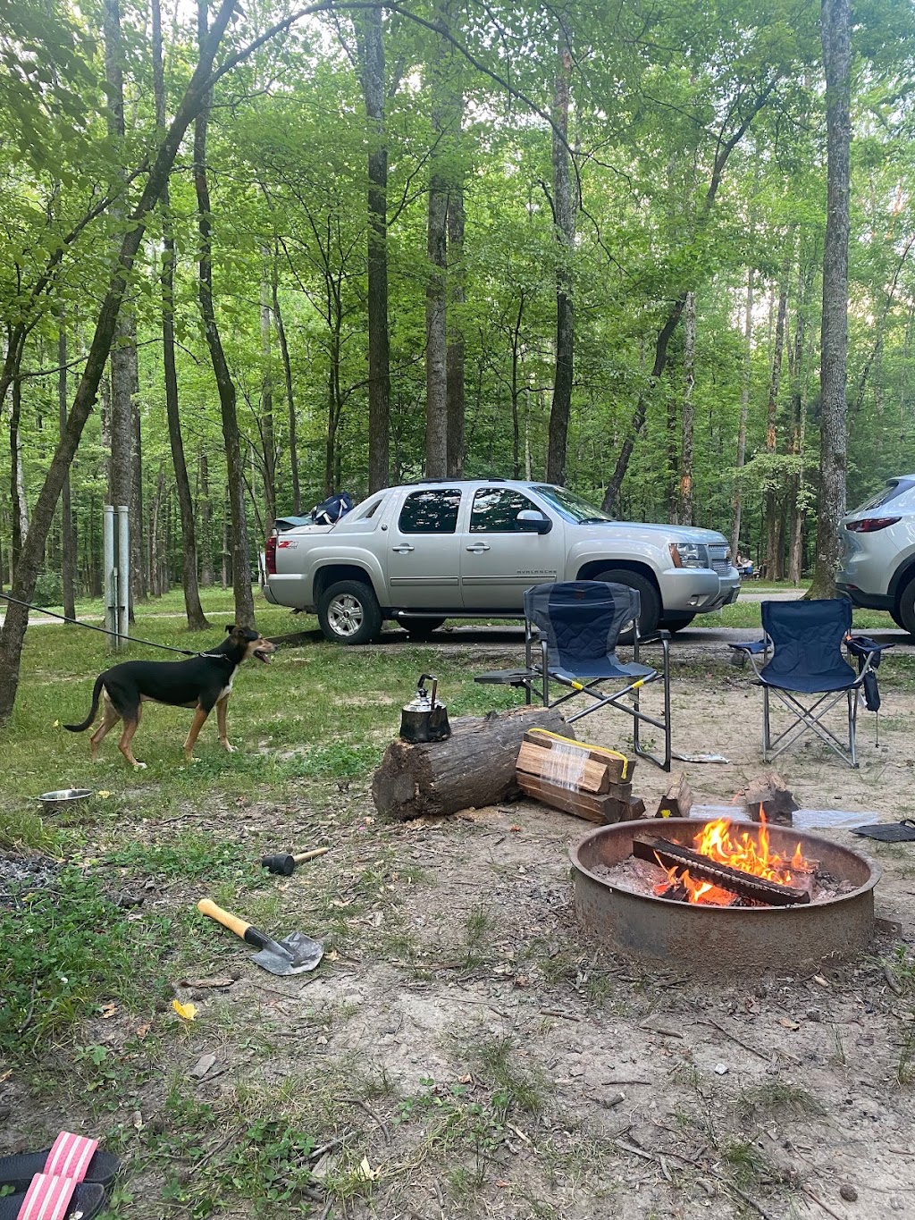 Dogwood Ridge Campground | 579 Riddick Rd, Millington, TN 38053, USA | Phone: (901) 876-5215