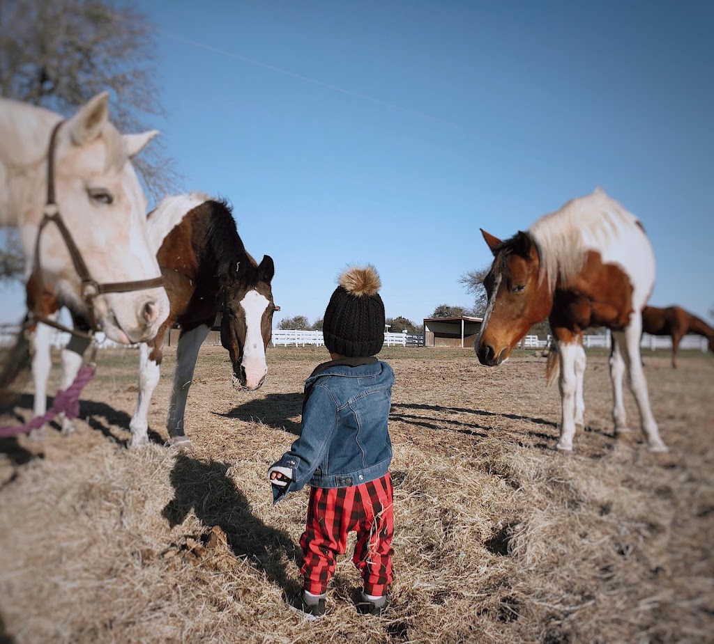 White Fences Equestrian Center | 10908 Jones Rd, Manor, TX 78653, USA | Phone: (512) 865-8281