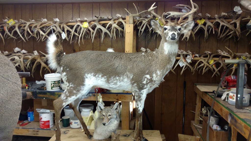 Gregs Quality Taxidermy | 216 Kennan Dr, Greensburg, PA 15601, USA | Phone: (724) 493-9182