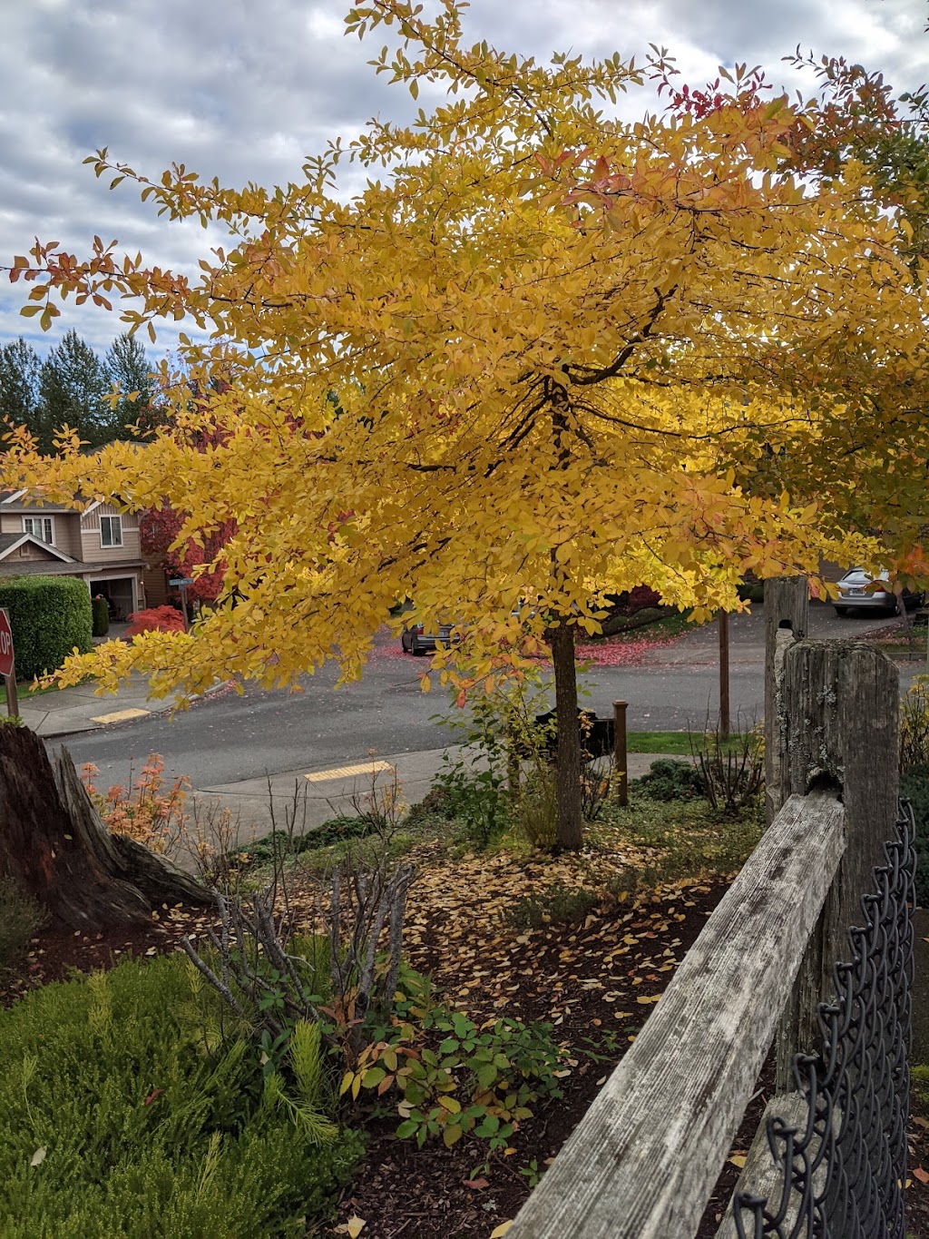 Bybee Park | 34802 SE Bybee St, Snoqualmie, WA 98065, USA | Phone: (425) 831-5784