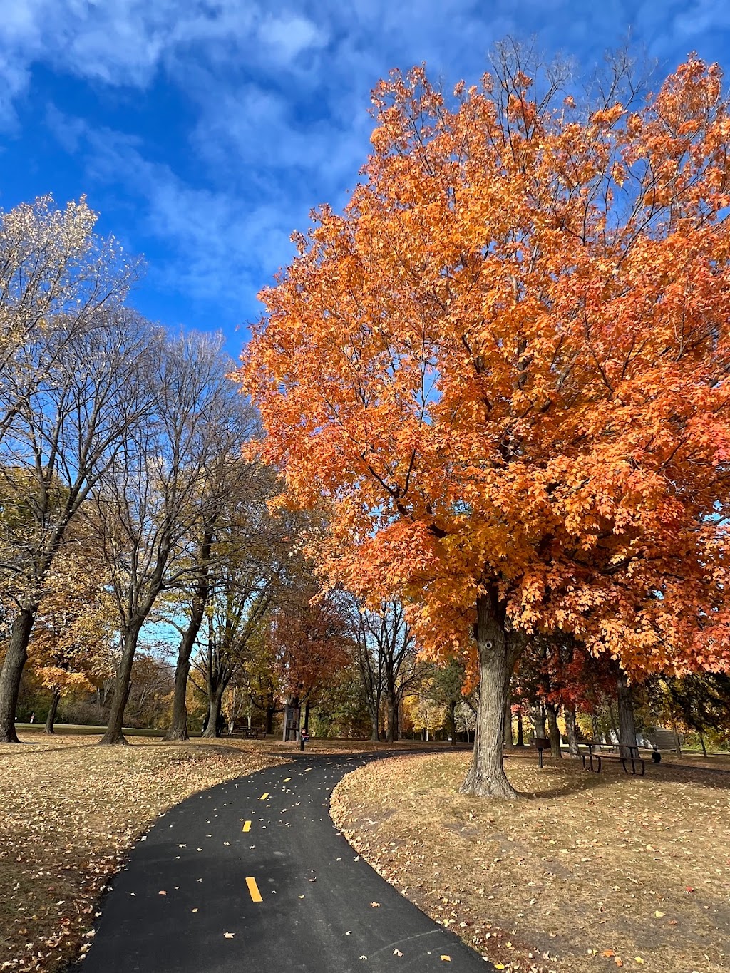 Carver Park Reserve | 55386, 7400 Grimm Rd, Waconia, MN 55387, USA | Phone: (763) 694-7650