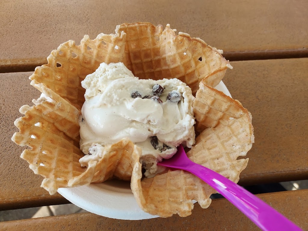 Cone Heads Ice Cream | 570 A1A Beach Blvd, St. Augustine, FL 32080 | Phone: (904) 460-2878