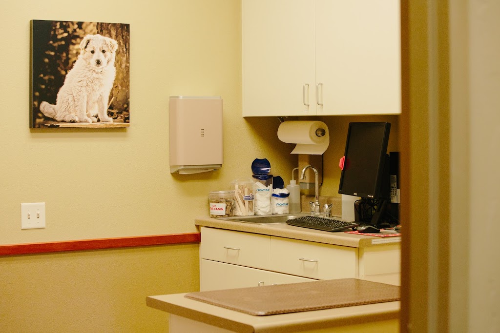 River City Veterinary Hospital | 2250 W Everest Ln, Meridian, ID 83646, USA | Phone: (208) 888-7300