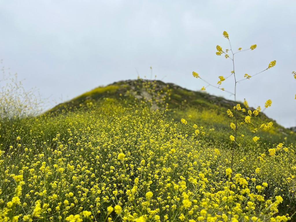 Turtle Rock Viewpoint | 19032 Turtle Rock Dr, Irvine, CA 92603, USA | Phone: (949) 724-6734