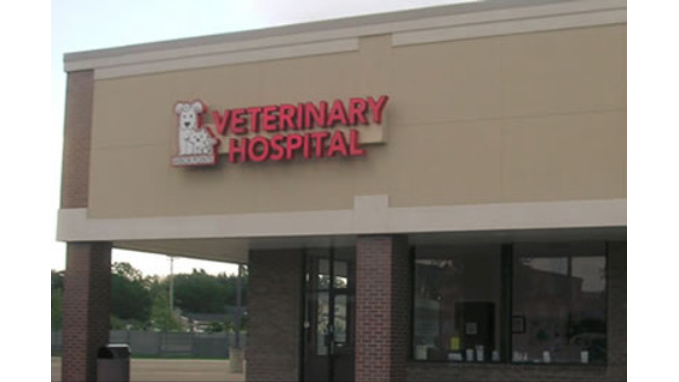 Arbor Pointe Veterinary Hospital | 42043 Ford Rd, Canton, MI 48187, USA | Phone: (734) 844-8844