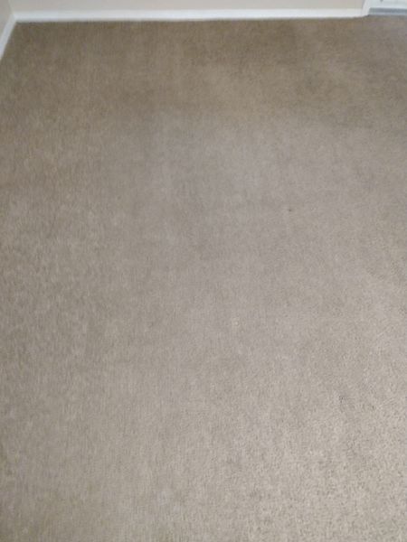 Bright Carpet Cleaning LLC | 1717 S 123rd Dr, Avondale, AZ 85323, USA | Phone: (623) 282-2128