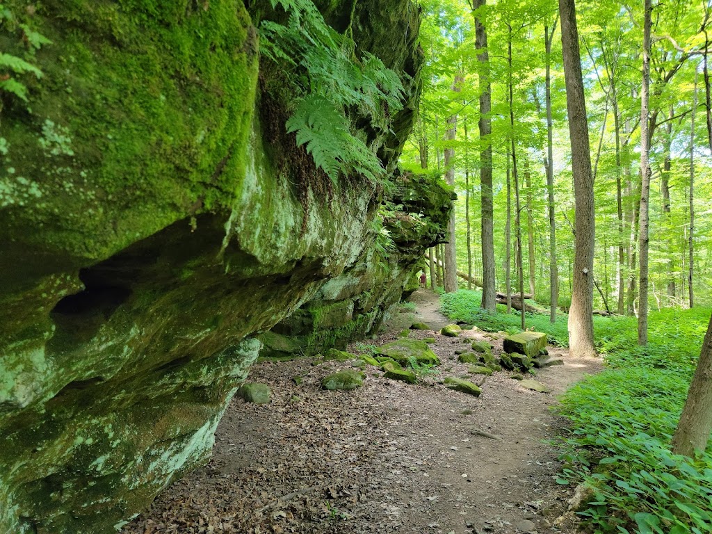 Wordens Ledges | Wordens Ledges Loop Trail, Hinckley, OH 44233, USA | Phone: (216) 635-3200