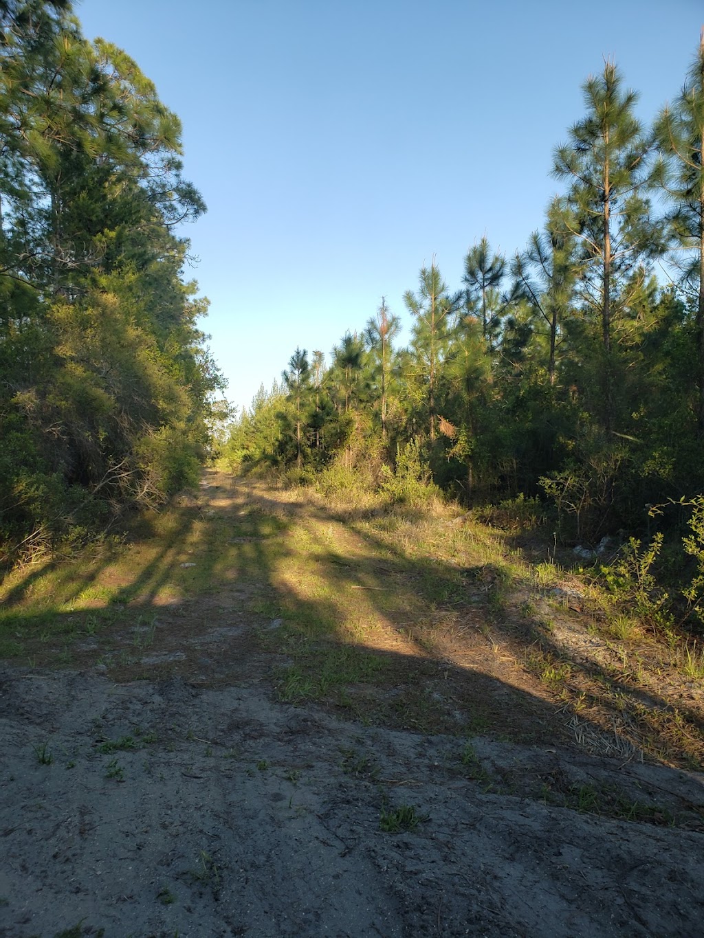 Twelve Mile Swamp Conservation Area | 440 International Golf Pkwy, St. Augustine, FL 32095, USA | Phone: (386) 329-4404