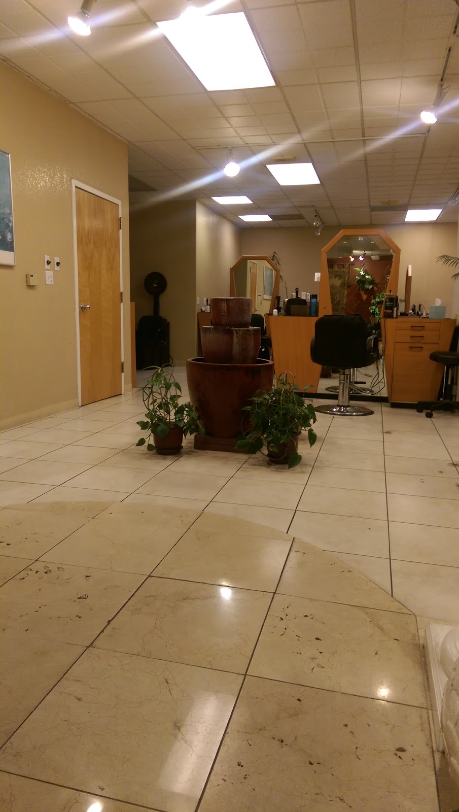 Salon Salon | 1020 S Winchester Blvd, San Jose, CA 95128 | Phone: (408) 984-8288