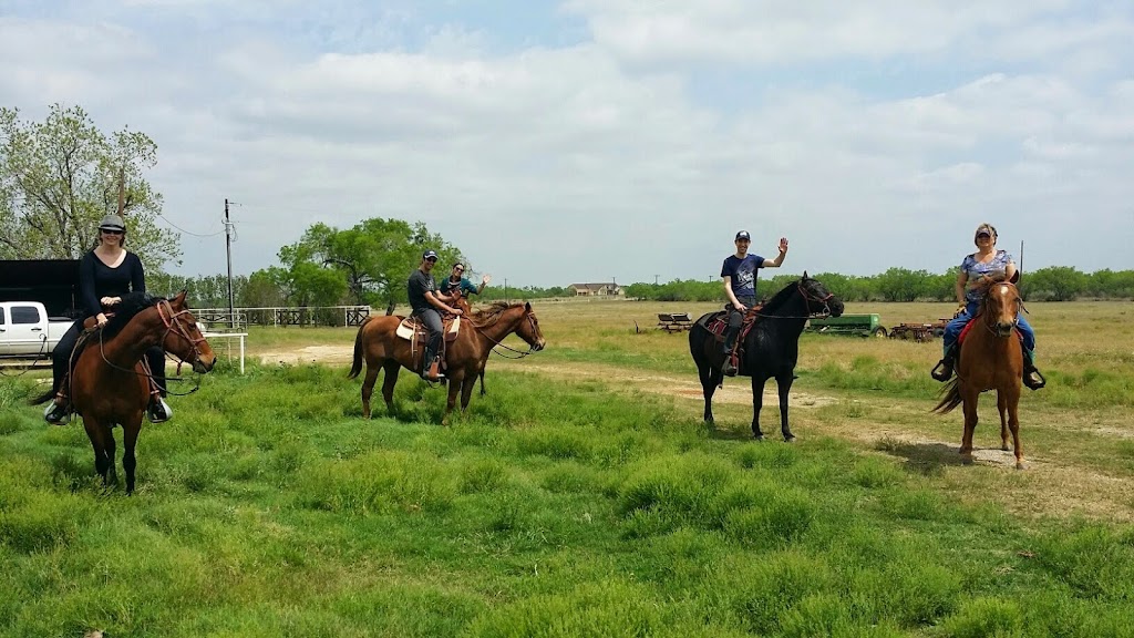 Horse Feathers Bed, Breakfast & Barn | 8019 TX-97, Pleasanton, TX 78064, USA | Phone: (210) 573-2130