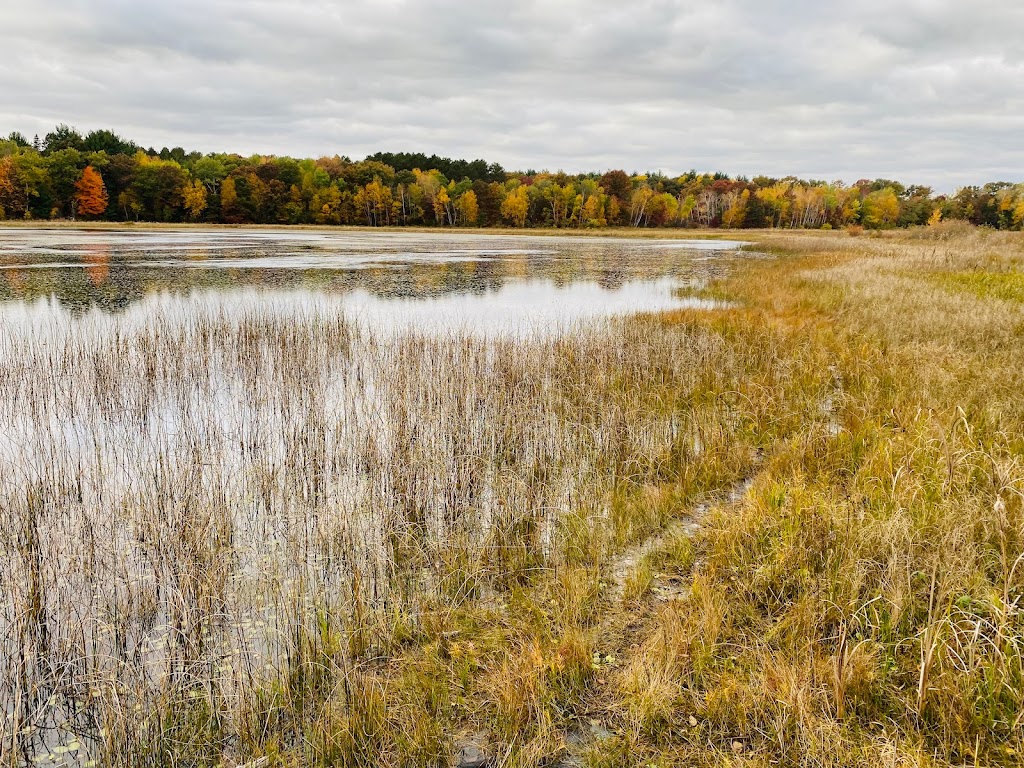 Wayside Prairie Park | 27800 Verdin St NW, Isanti, MN 55040, USA | Phone: (763) 689-8220