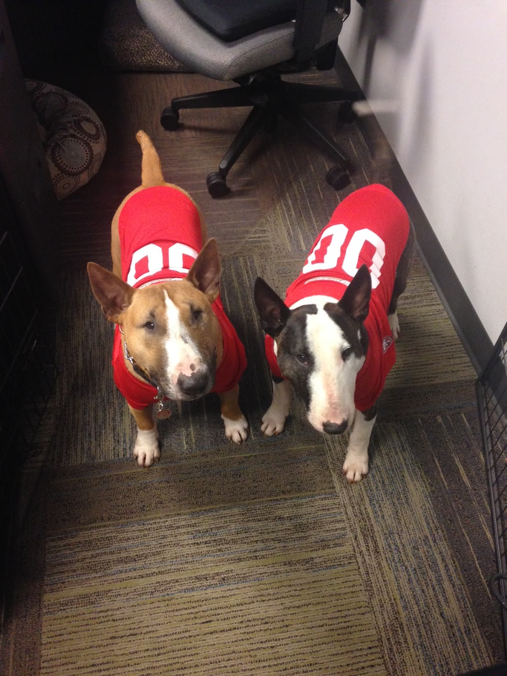 Vetsource | 9500 NE Cascades Pkwy, Portland, OR 97220, USA | Phone: (503) 802-7400