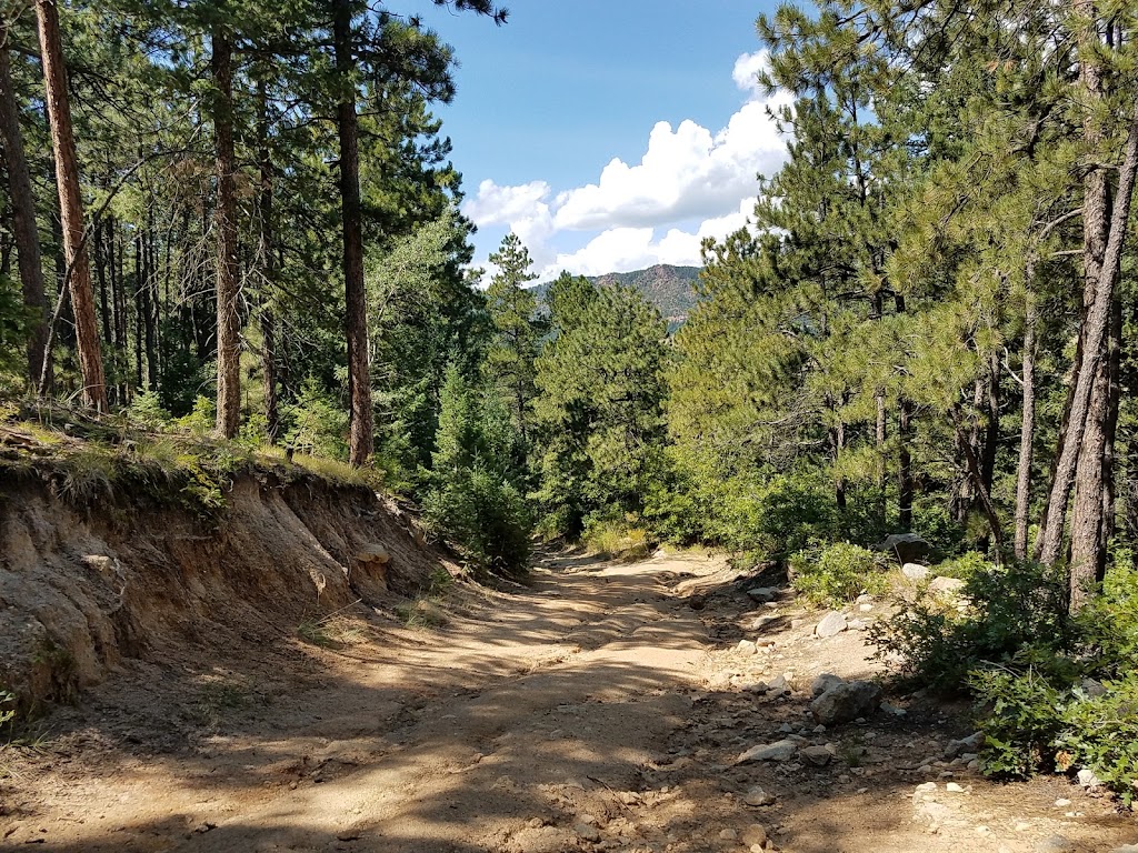 Spruce Mountain Open Space Trailhead | 13415 S Spruce Mountain Rd, Larkspur, CO 80118, USA | Phone: (303) 660-7495