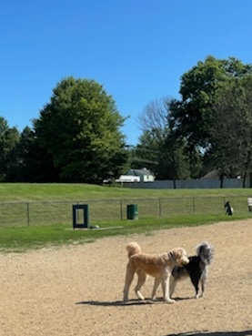 West Goshen Township Dog Park | West Chester, PA 19380, USA | Phone: (610) 696-5266