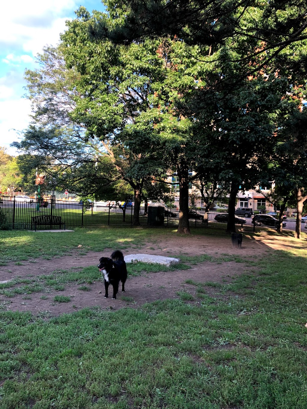 Olde English Downtown Dog Park | 119 N Pearl St, Albany, NY 12207, USA | Phone: (518) 465-2143