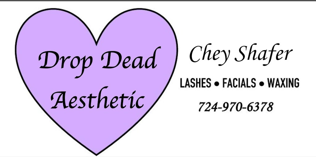 Drop Dead Aesthetic by Chey Shafer | 2903 National Pike Unit A, Chalkhill, PA 15421, USA | Phone: (724) 970-6378